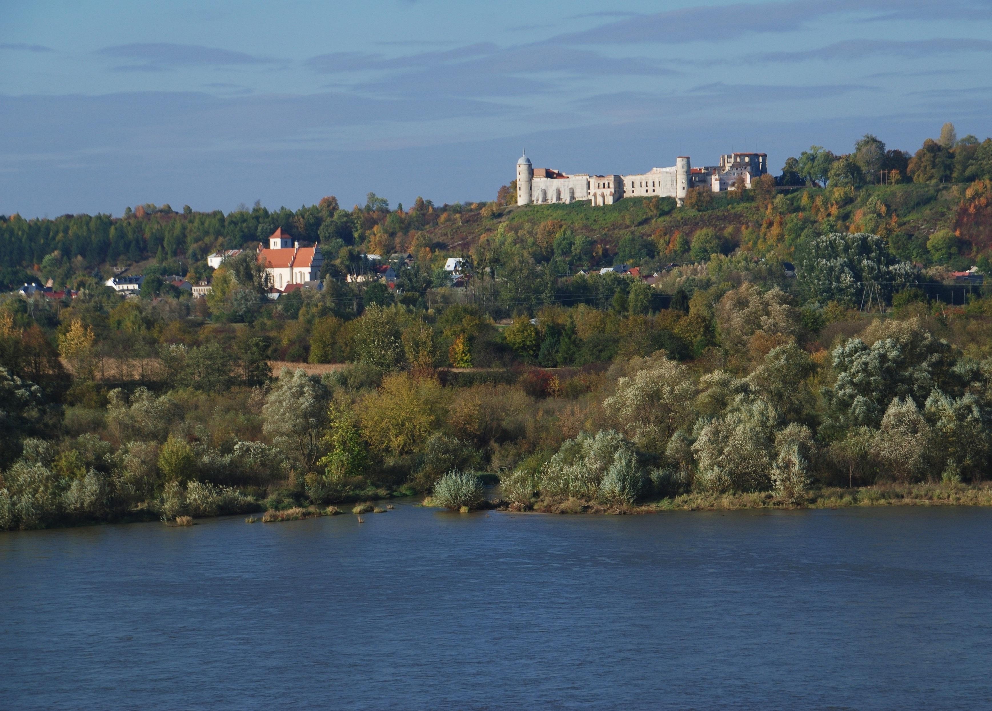 Zamek w Janowcu